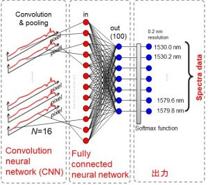 Modello di rete neurale utilizzato.