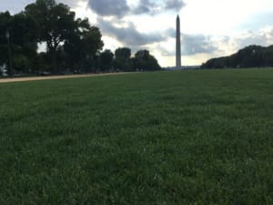 ナショナルモールの芝生で休憩中の一枚． 奥に見えるのがワシントン記念塔だがエレベーターの故障で無期限閉鎖中．