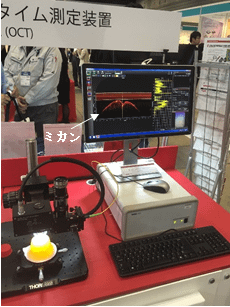OCT-Geräte auf dem Thorlab-Stand (Querschnitt eines Fruchtgelees auf dem Bildschirm).